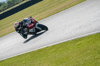 Advanced Group Red Bikes